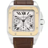 Cartier Santos 100 W20132X8 - view 5