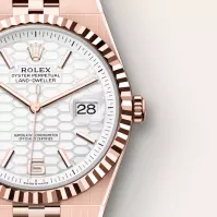 Rolex Land-Dweller 40 Intense White - view 4