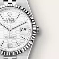 Rolex Land-Dweller 40 White Gold - view 4