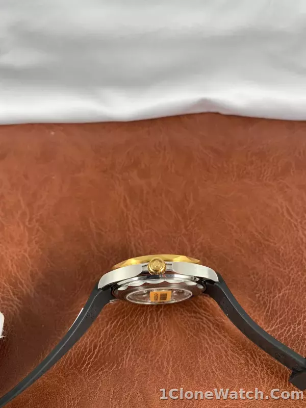 Omega Seamaster 210.22.42.20.01.001 - detail