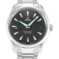 Omega Aqua Terra 150m Gents 231.10.42.22.01.001 - view 6